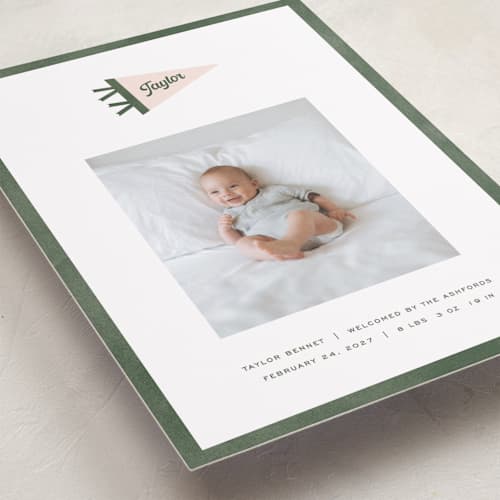 This is a ivy birth announcements with standard by Pixel and Hank called pennant printing on recycled smooth signature in standard