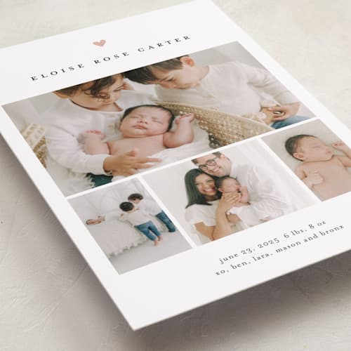 This is a rose birth announcements with standard by Stacey Meacham called our whole heart printing on recycled smooth signature in standard