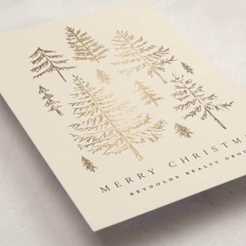 This is a cream business holiday cards with foil pressed by Amy Kross called spruce shine printing on signature in standard