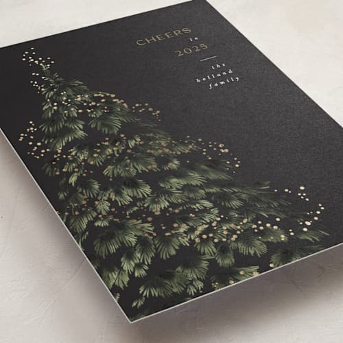 This is a coal foil pressed holiday cards with foil pressed by Leah Bisch called winter sparkle printing on signature in standard