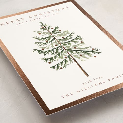 This is a snow foil pressed holiday cards with foil pressed by Amy Kross called vintage spruce printing on signature in standard
