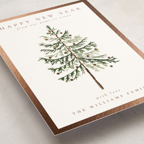 This is a snow foil pressed holiday cards with foil pressed by Amy Kross called vintage spruce printing on signature in standard