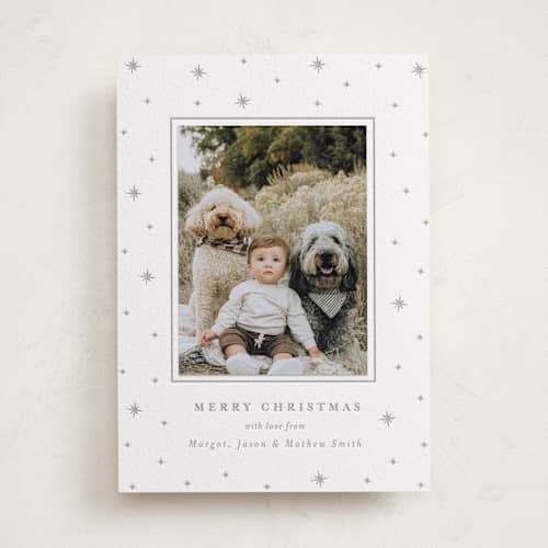 christmas cards with photo sleeve Current: Current Deluxe Holly Jolly Photo