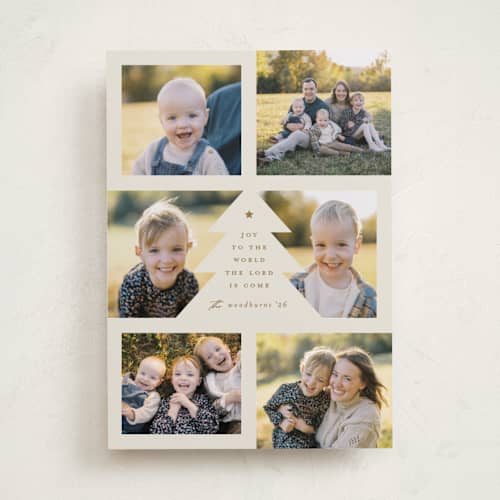 This is a eggnog photo christmas cards with standard by Erica Krystek called bountiful joy printing on recycled smooth signature in standard