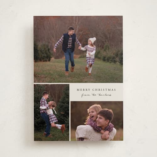 This is a cookie dough photo christmas cards with standard by Brianne Larsen called modern simple printing on recycled smooth signature in standard