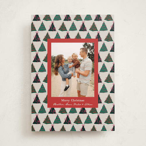 This is a cardinal photo christmas cards with standard by Owl and Toad called acres printing on recycled smooth signature in standard