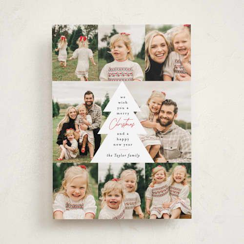 This is a holly berry photo christmas cards with standard by Alethea and Ruth called multi tree center printing on recycled smooth signature in standard
