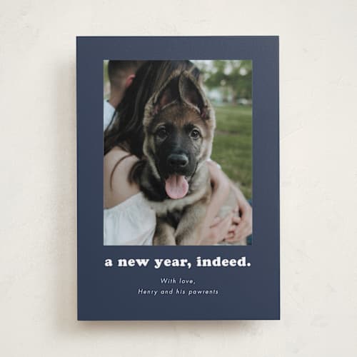 This is a midnight holiday photo cards with standard by Kristen Knechtel called indeed printing on recycled smooth signature in standard