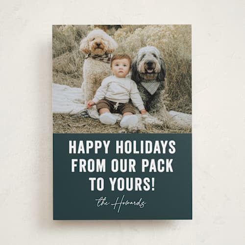 This is a blue spruce holiday photo cards with standard by Brooke Chandler called our pack to yours printing on recycled smooth signature in standard