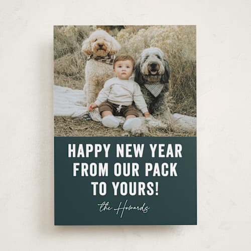 This is a blue spruce holiday photo cards with standard by Brooke Chandler called our pack to yours printing on recycled smooth signature in standard