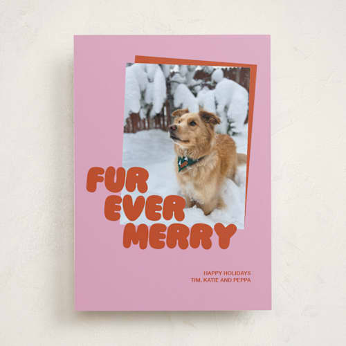 This is a berry holiday photo cards with standard by Inkblot Design called furever printing on recycled smooth signature in standard