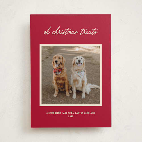 This is a red chew toy holiday photo cards with standard by Sarah Hawkins Designs called christmas treats printing on recycled smooth signature in standard