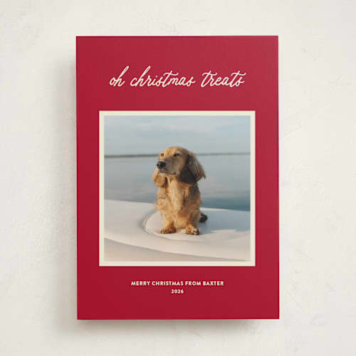 This is a red chew toy holiday photo cards with standard by Sarah Hawkins Designs called christmas treats printing on recycled smooth signature in standard
