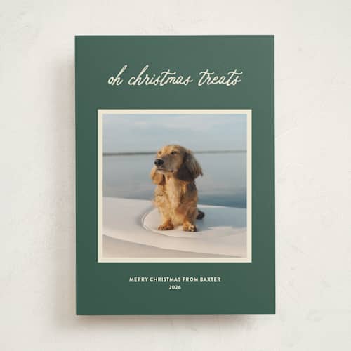 This is a grass holiday photo cards with standard by Sarah Hawkins Designs called christmas treats printing on recycled smooth signature in standard