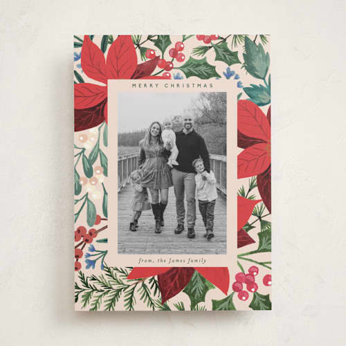 This is a holly berry holiday photo cards with standard by Alethea and Ruth called bold floral printing on recycled smooth signature in standard