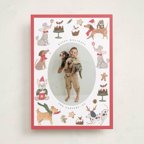 This is a berry holiday photo cards with standard by Teju Reval called festive dogs printing on recycled smooth signature in standard