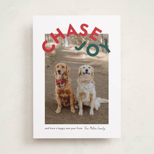 This is a holly holiday photo cards with standard by Angela Garrick called chase joy printing on recycled smooth signature in standard