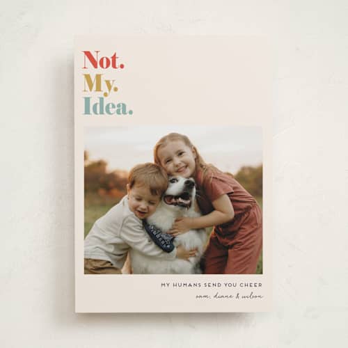 This is a maize holiday photo cards with standard by Penny Eversole called not my idea pet card printing on recycled smooth signature in standard