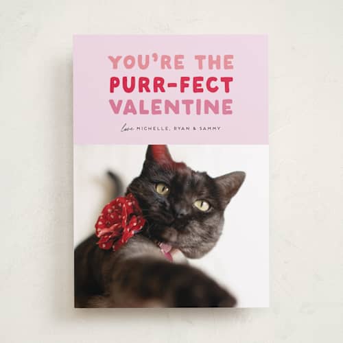 This is a berry valentines day with standard by Carmia Jordaan called purr-fect valentine printing on recycled smooth signature in standard