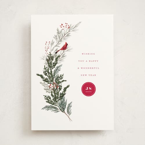 This is a holly berry business holiday cards with standard by Baumbirdy called cardinal printing on signature in standard