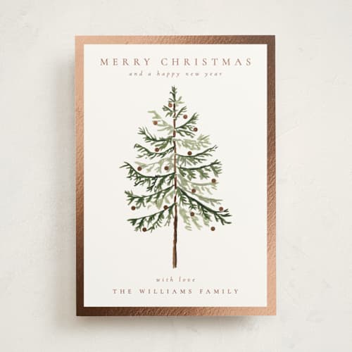 This is a snow foil pressed holiday cards with foil pressed by Amy Kross called vintage spruce printing on signature in standard