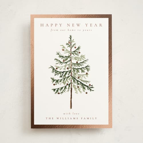 This is a snow foil pressed holiday cards with foil pressed by Amy Kross called vintage spruce printing on signature in standard