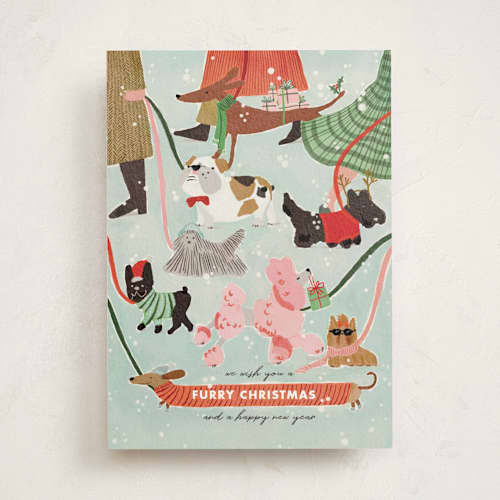 This is a winter non photo holiday cards with standard by Menci Zaga called furry christmas printing on signature in standard