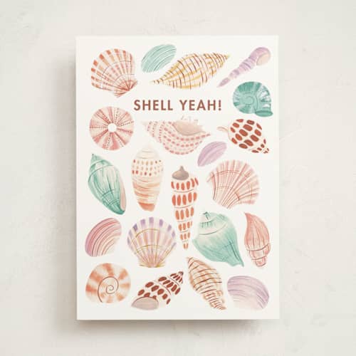 This is a seashells congratulations cards with standard by Sarah Knight called shell yeah! printing on signature in greeting cards