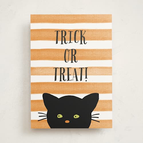 This is a pumpkin greeting cards with standard by Haley McCoy called striped cat printing on signature in greeting cards