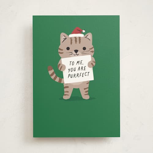 This is a spruce greeting cards with standard by mo kelley called purrfect printing on signature in greeting cards