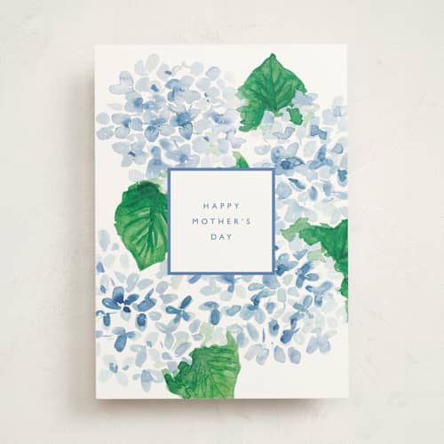 This is a cornflower mothers day cards with standard by Carolyn Malone called mother's day blooms printing on signature in greeting cards
