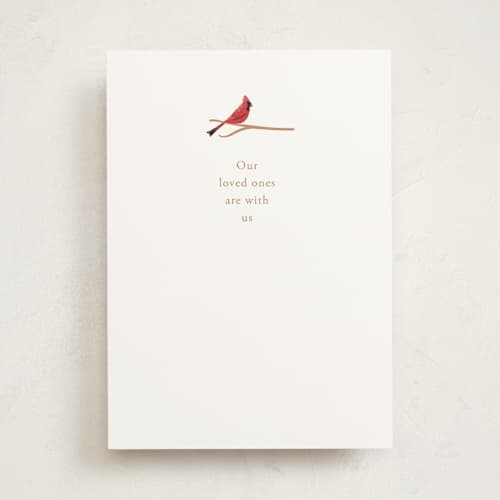 This is a scarlet sympathy cards with standard by Baumbirdy called cardinal printing on signature in greeting cards