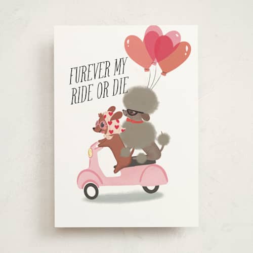 This is a sugar valentines day cards with standard by Itsy Belle Studio called furever my ride-or-die printing on signature in greeting cards