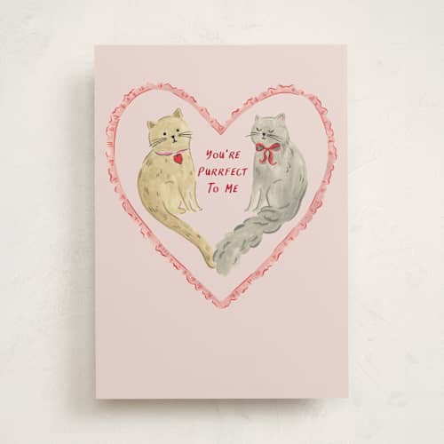 This is a barely rose valentines day cards with standard by Sarah Knight called purrfect printing on signature in greeting cards