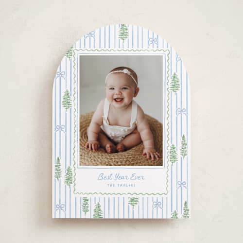 This is a blue jay photo christmas cards with standard by Creo Study called trees and bows printing on recycled smooth signature in standard