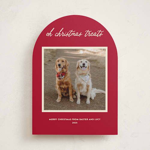 This is a red chew toy holiday photo cards with standard by Sarah Hawkins Designs called christmas treats printing on recycled smooth signature in standard