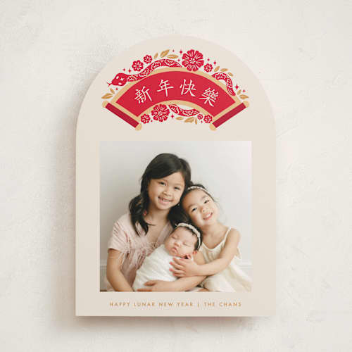 This is a fireworks chinese new year cards with standard by Vivian Yiwing called lunar snake arch printing on recycled smooth signature in standard