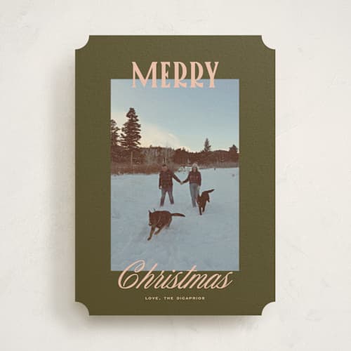 This is a pine needles holiday photo cards with standard by Creo Study called modern classic printing on recycled smooth signature in standard