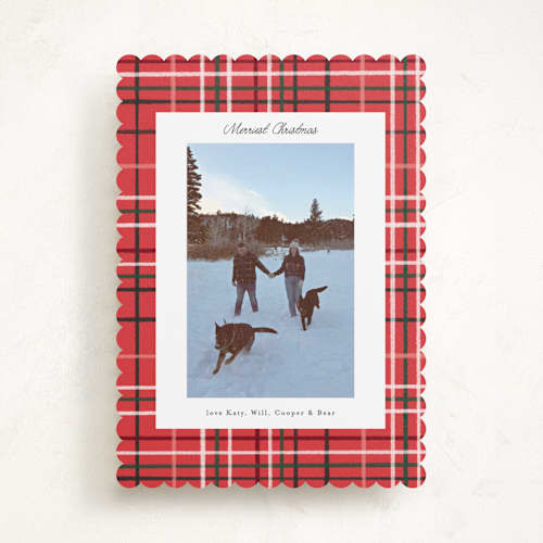 This is a poinsettia holiday photo cards with standard by Emily Sabol Goss called retro plaid printing on recycled smooth signature in standard