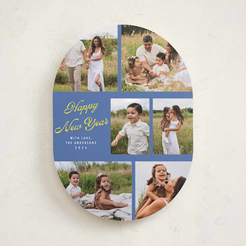 This is a blue jay new year photo cards with standard by Cass Loh called playful pop printing on recycled smooth signature in standard