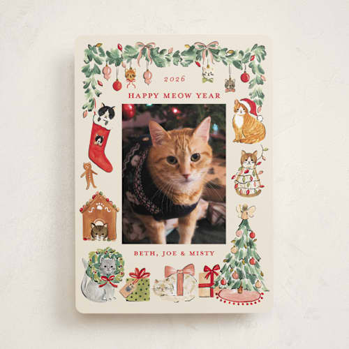 This is a vintage holiday photo cards with standard by Sarah Knight called meowy christmas printing on recycled smooth signature in standard