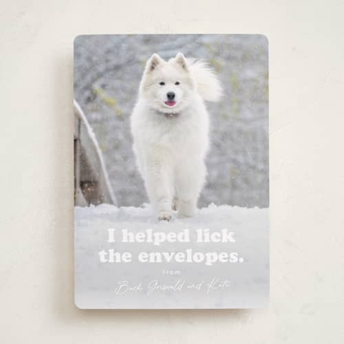 This is a bone holiday photo cards with standard by Hudson meet Rose called helping printing on recycled smooth signature in standard