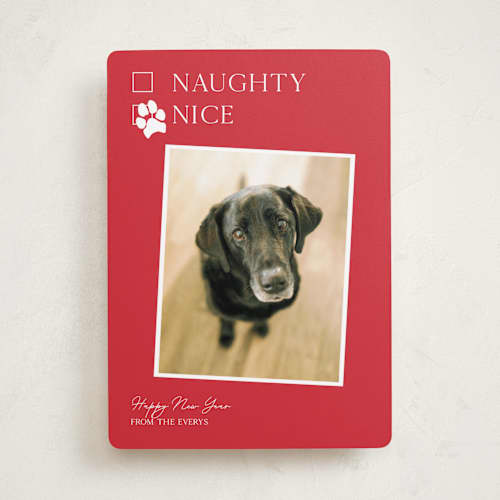 This is a poinsettia holiday photo cards with standard by Kat Roberts called nice pup printing on recycled smooth signature in standard