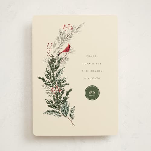 This is a spruce business holiday cards with standard by Baumbirdy called cardinal printing on signature in standard