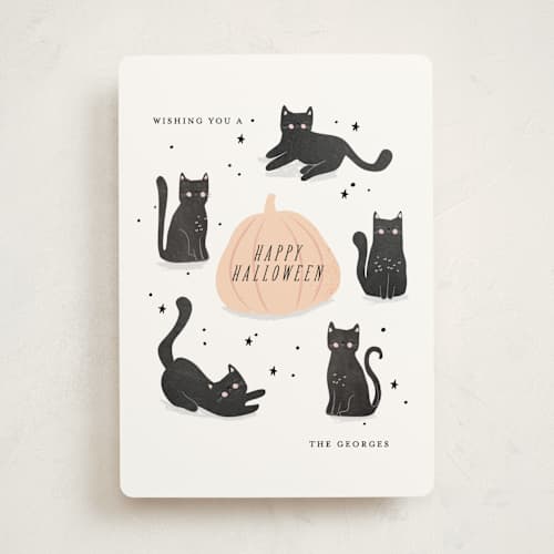 This is a chalk halloween party invitations cards with standard by Angela Thompson called halloween cats printing on signature in standard