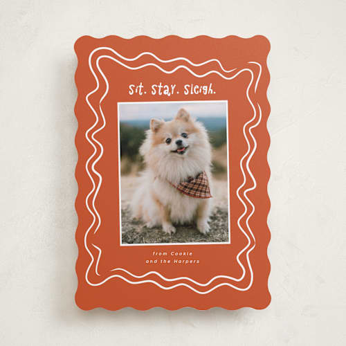 This is a holly holiday photo cards with standard by Vera Lim called wiggly lines printing on recycled smooth signature in standard