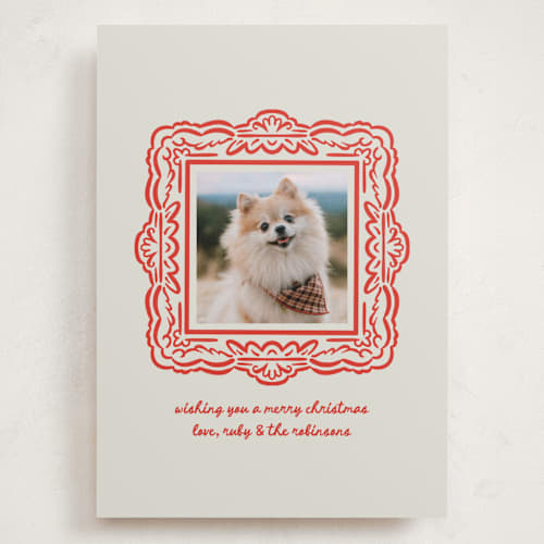 This is a berry holiday photo cards with standard by mo kelley called friendly frame printing on recycled smooth signature in grand