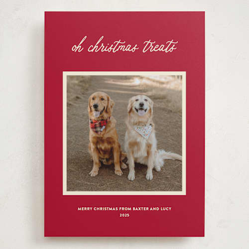 This is a red chew toy holiday photo cards with standard by Sarah Hawkins Designs called christmas treats printing on recycled smooth signature in grand