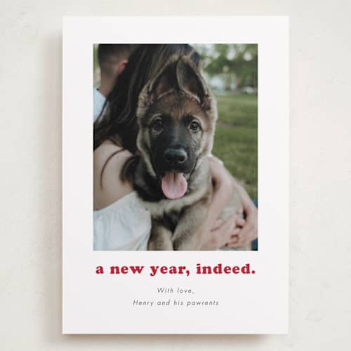 This is a peppermint holiday photo cards with standard by Kristen Knechtel called indeed printing on recycled smooth signature in grand