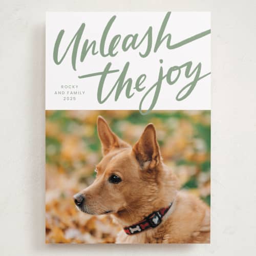 This is a spruce holiday photo cards with standard by Erin German called unleash the joy printing on recycled smooth signature in grand
